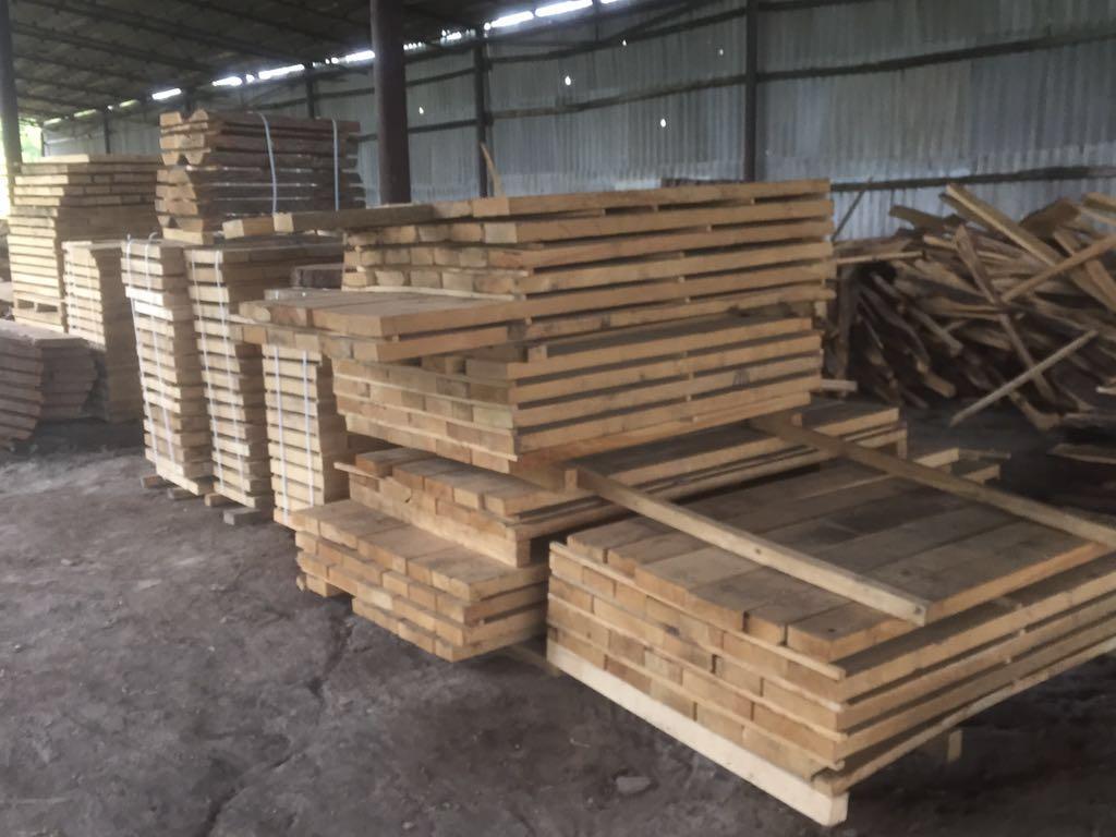 L'umidità naturale Board