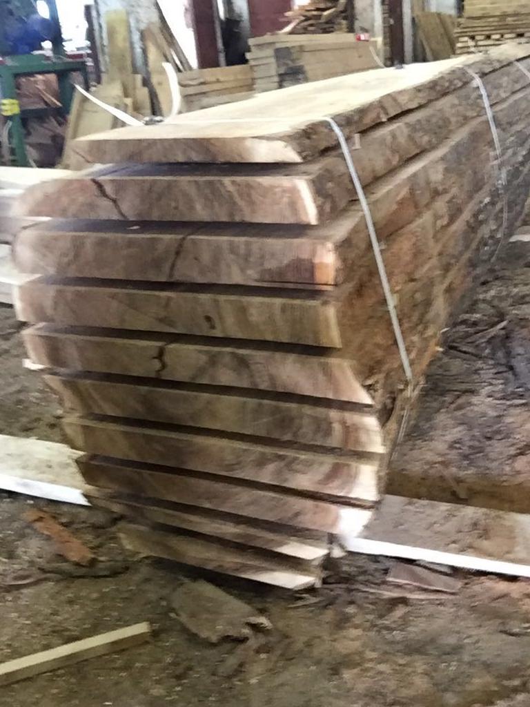 L'umidità naturale Board